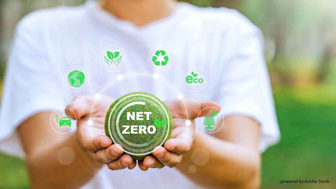 Image of person wearing quality t-shirt holding green moss ball with a graphic overlay indicating the goal to get to carbon net zero